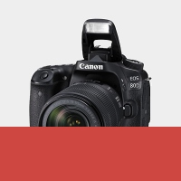 Canon EOS 760D vs. Canon EOS 80D